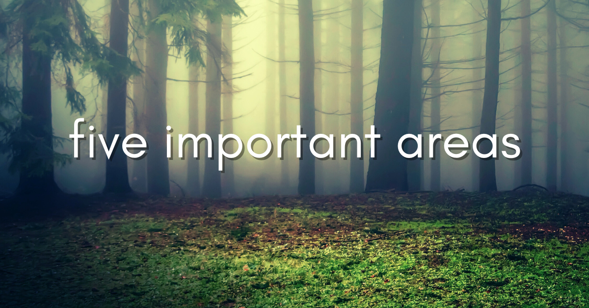 five important areas